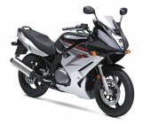 2008 Suzuki GS500F photo